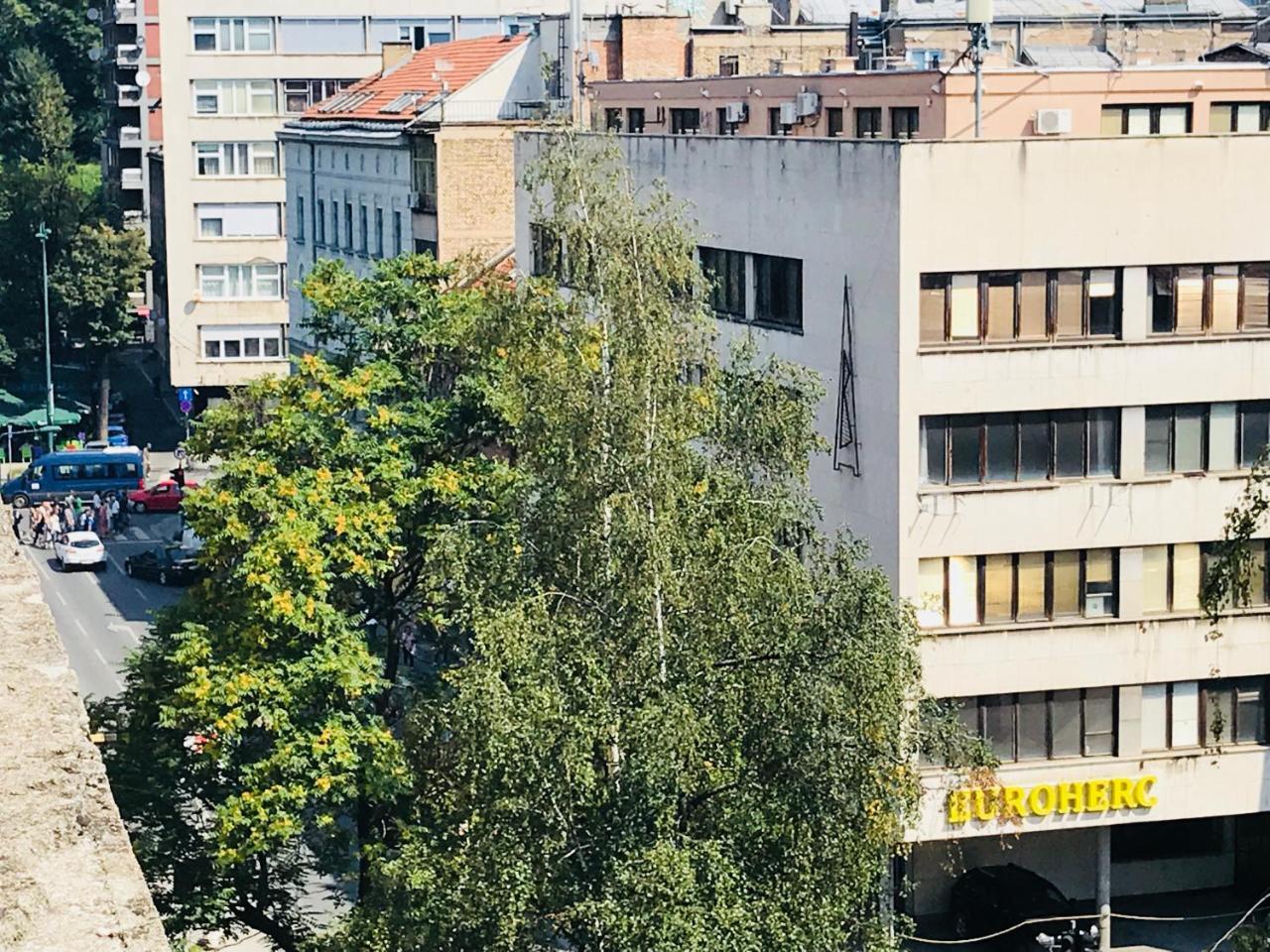 Colors Apartment